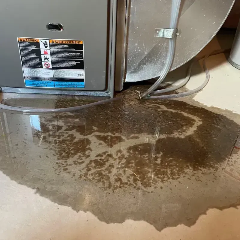 Appliance Leak Cleanup in Dundee, FL